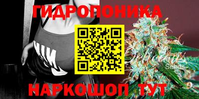 альфа пвп Заводоуковск