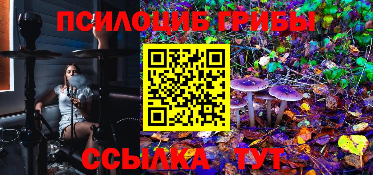 Лесосибирск  Псилоцибиновые грибы Cubensis  Вход с VPN 