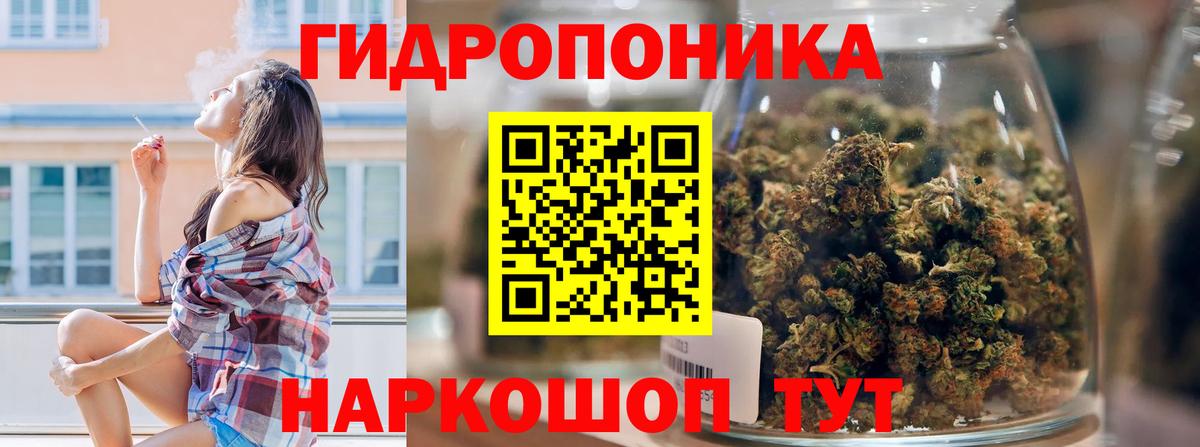 МАРИХУАНА семена Лесосибирск